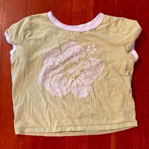 Hollister Y2K Pale Green Baby Tee with Pink Hibiscus Flower Graphic (L)